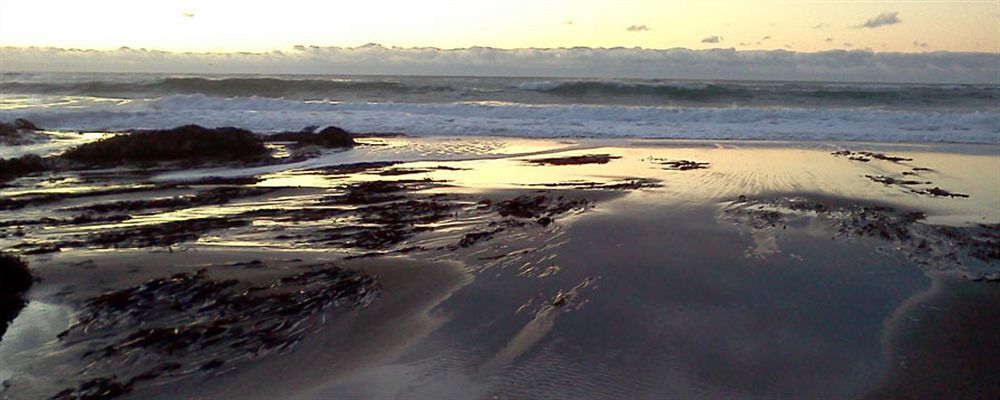 Salmonberry Inn & Beach House Lincoln City Esterno foto